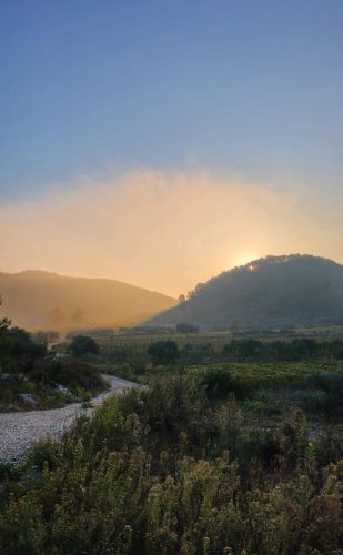 JUTRO - Ivo Cetinić