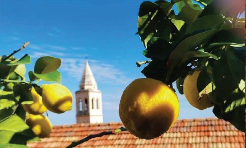 LIMUN - Božena Hudulin