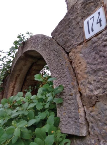 SMOKVICA 174 - Ivo Cetinić