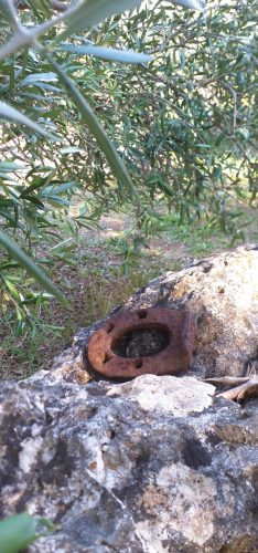 SREĆA U PROPADIMA - Marko Korunić