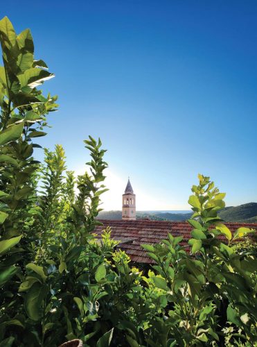 ZVONIK - Ivo Cetinić